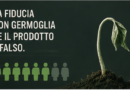 Contraffazione green: il caso SproutWorld e la lotta ai falsi con l’AI